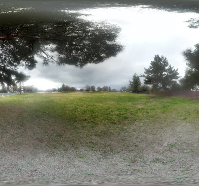 Soccer Field image 3