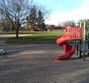 Soccer Field image 4