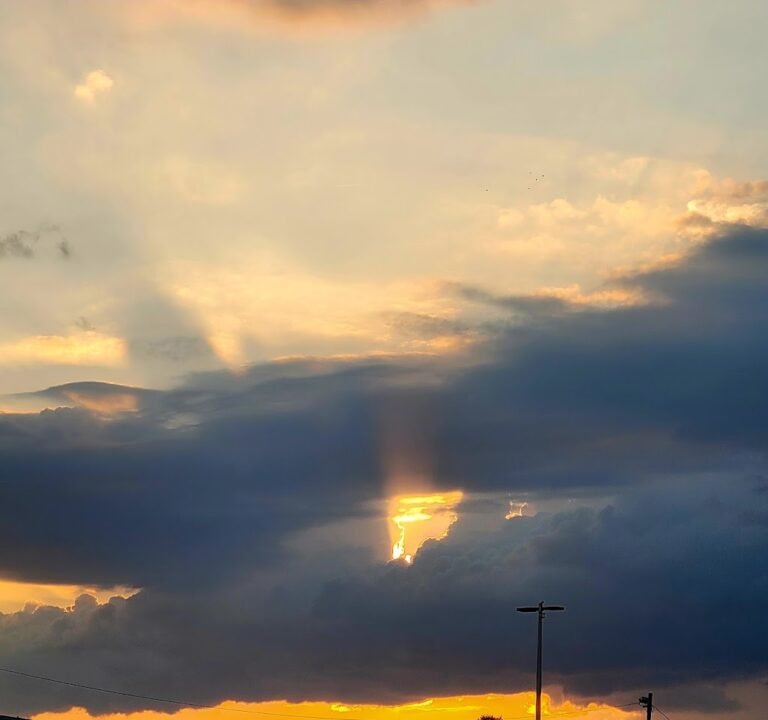 Soccer Field image 3