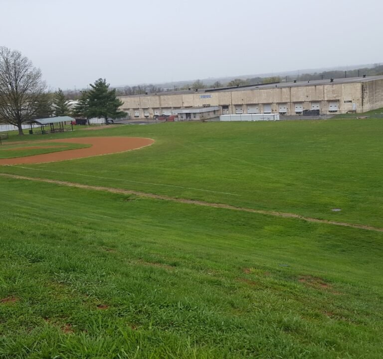 Soccer Field image 2