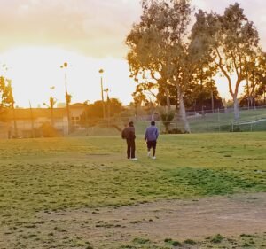 Soccer Field image 3