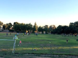 Soccer Field image 1