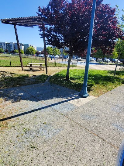 Soccer Field image 1