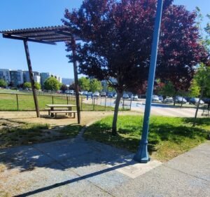 Soccer Field image 2