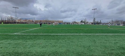 Soccer Field image 1