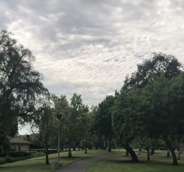 Soccer Field image 4