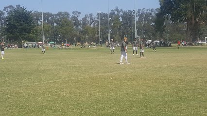 Soccer Field image 1