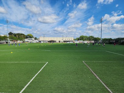 Soccer Field image 1