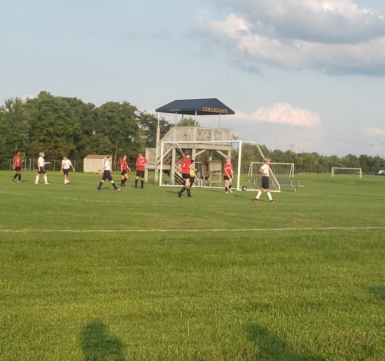 Soccer Field image 3