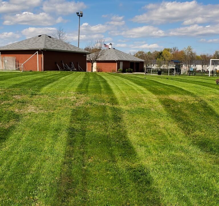 Soccer Field image 2