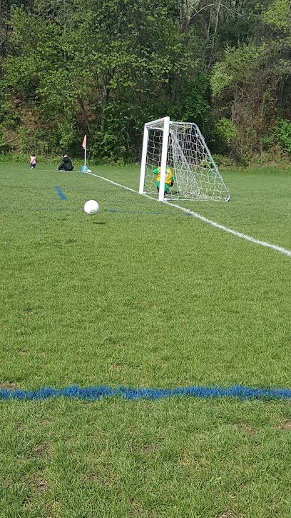 Soccer Field image 1