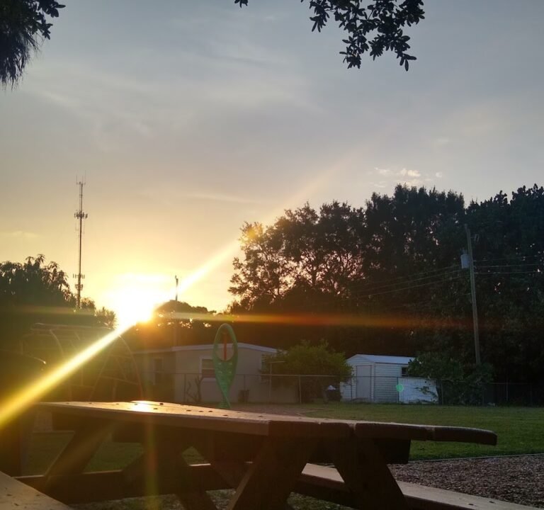 Soccer Field image 3