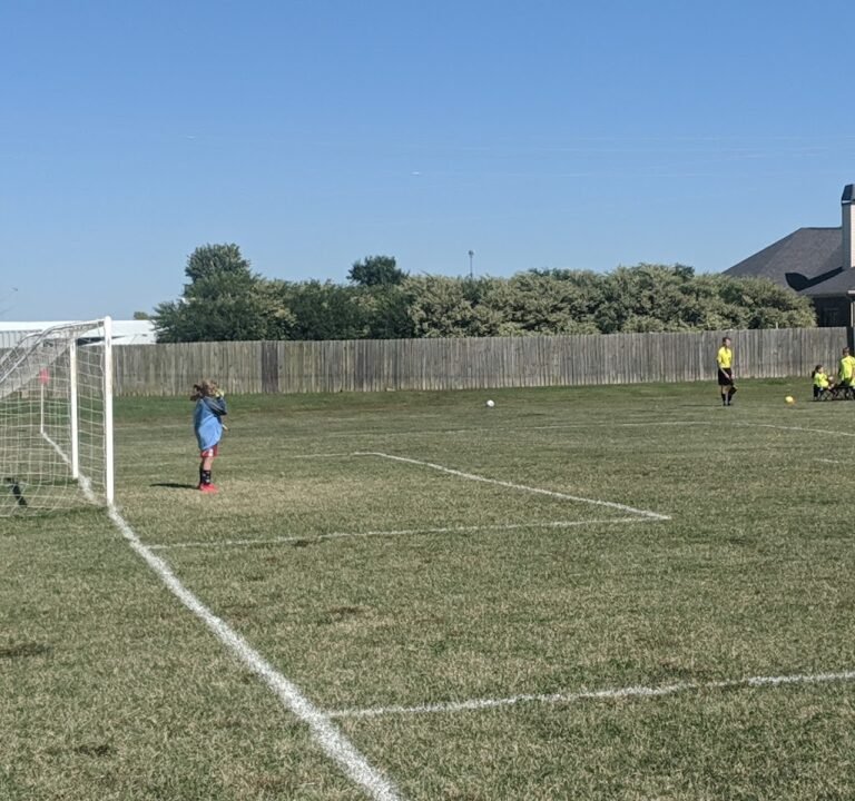 Soccer Field image 3