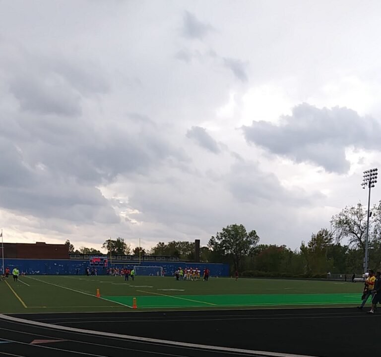 Soccer Field image 2