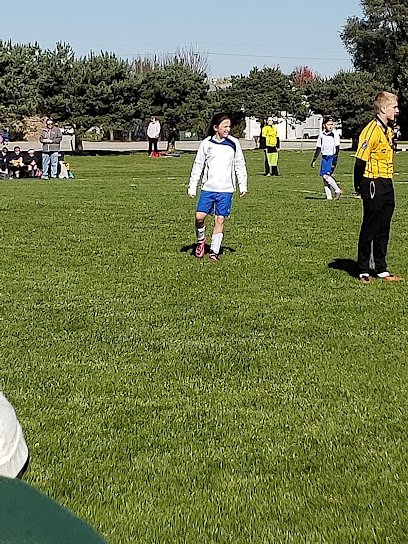 Soccer Field image 1