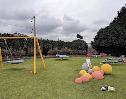 Soccer Field image 1