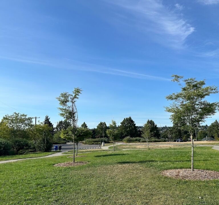 Soccer Field image 3