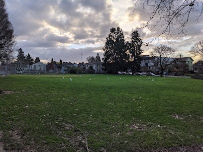 Soccer Field image 1