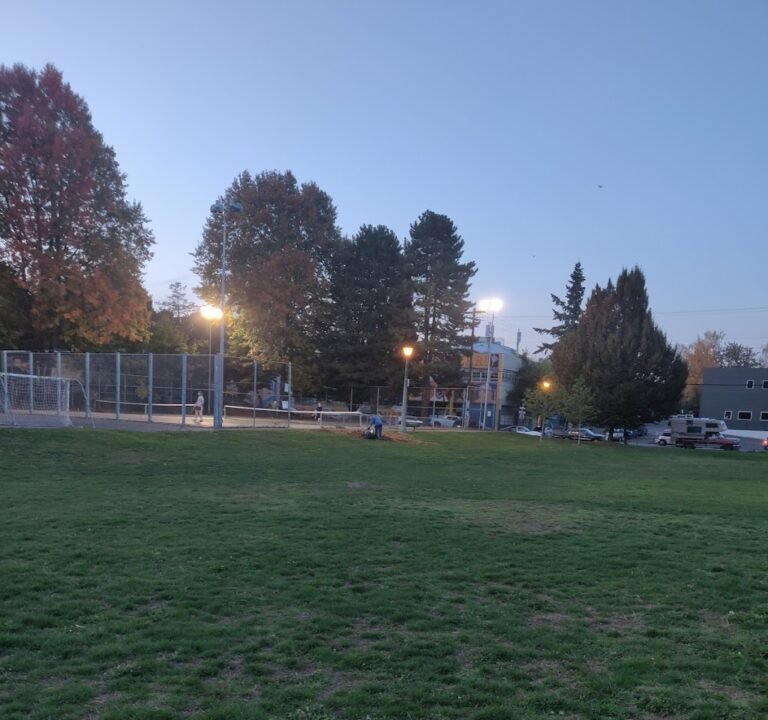 Soccer Field image 2