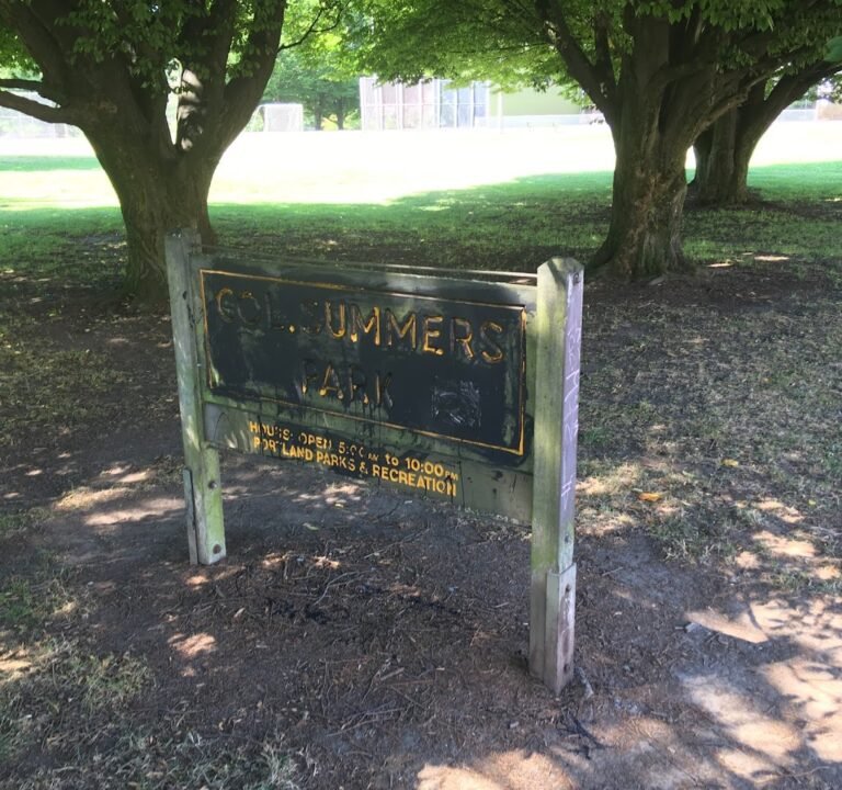 Soccer Field image 3