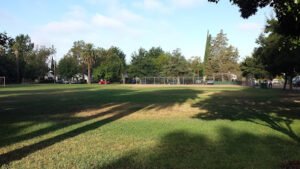 Soccer Field image 1