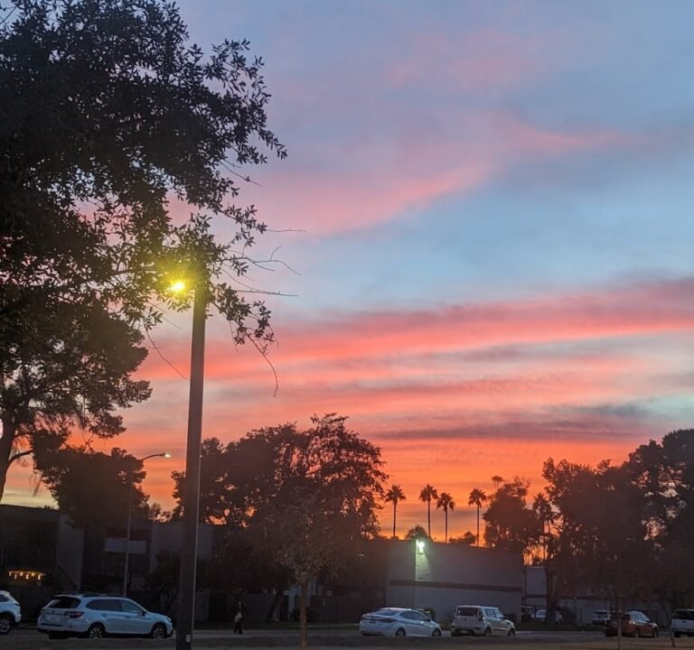 Soccer Field image 2