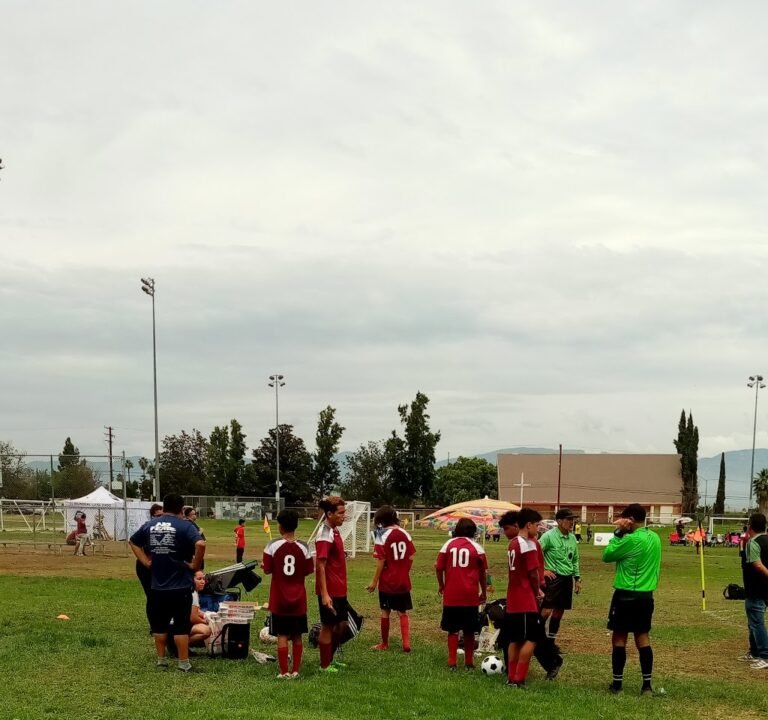 Soccer Field image 2