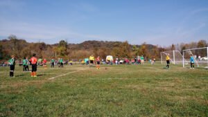 Soccer Field image 1