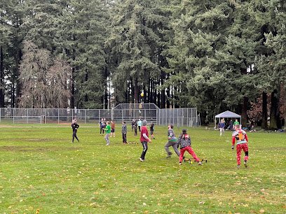 Soccer Field image 1