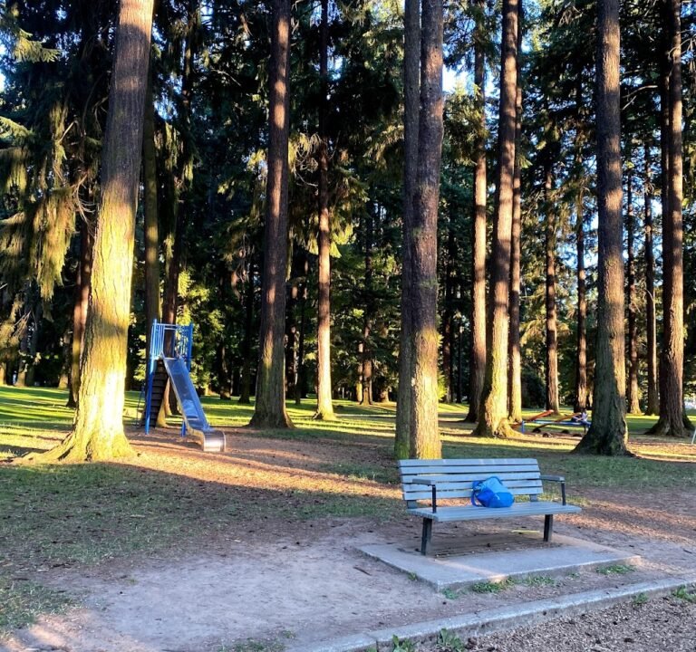 Soccer Field image 2