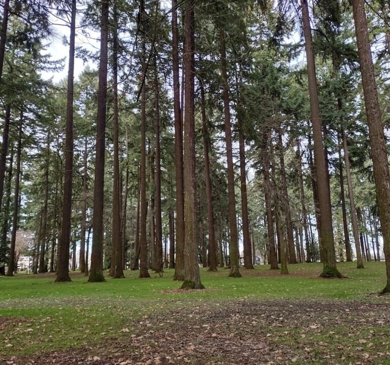 Soccer Field image 3