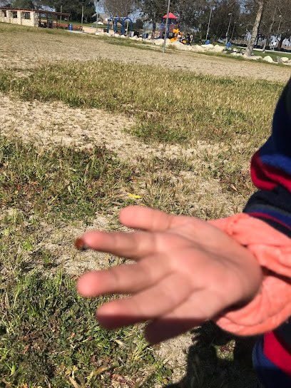 Soccer Field image 1