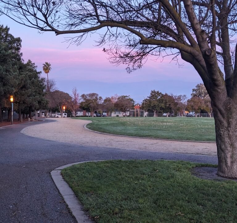 Soccer Field image 2