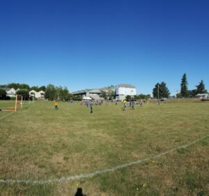 Soccer Field image 2