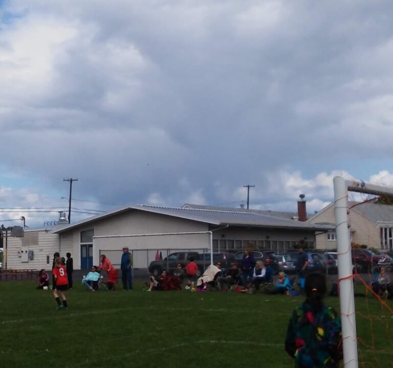 Soccer Field image 3