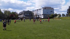 Soccer Field image 1
