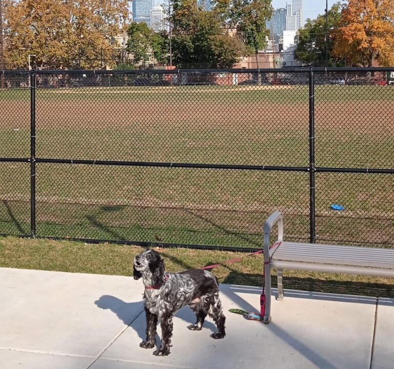 Soccer Field image 2