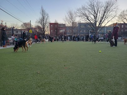 Soccer Field image 1