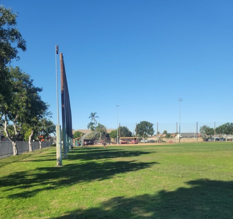 Soccer Field image 2