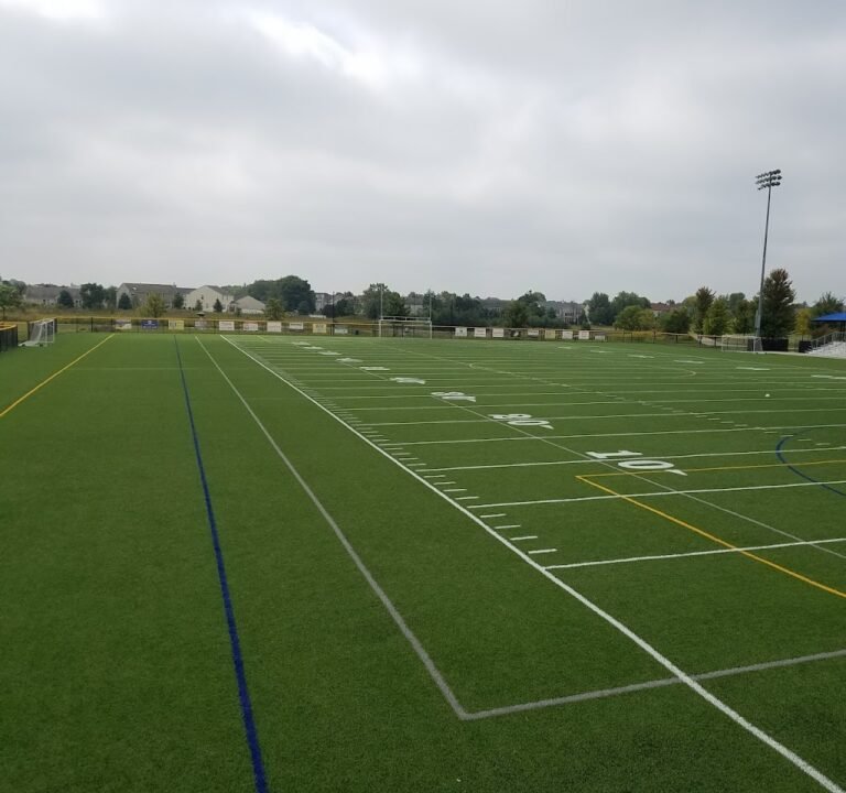 Soccer Field image 2