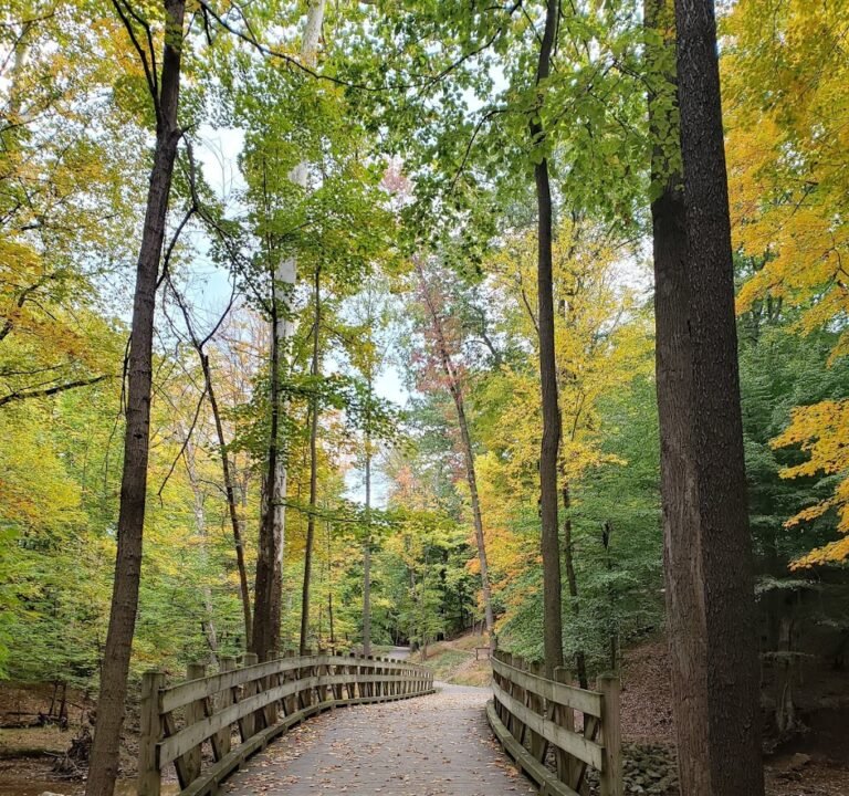 Soccer Field image 2