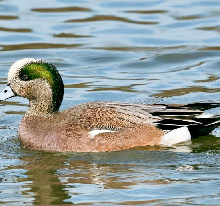 Soccer Field image 3