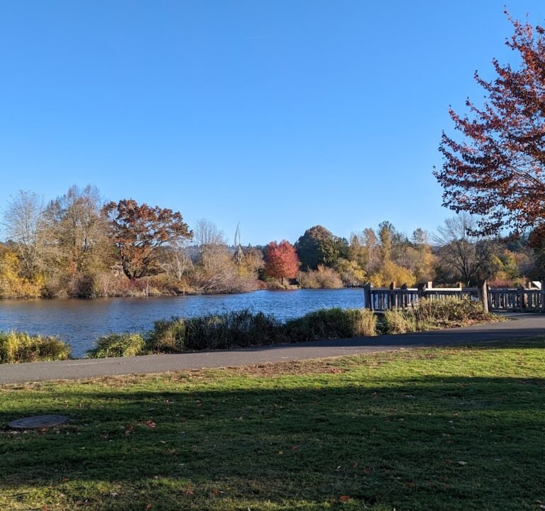 Soccer Field image 2