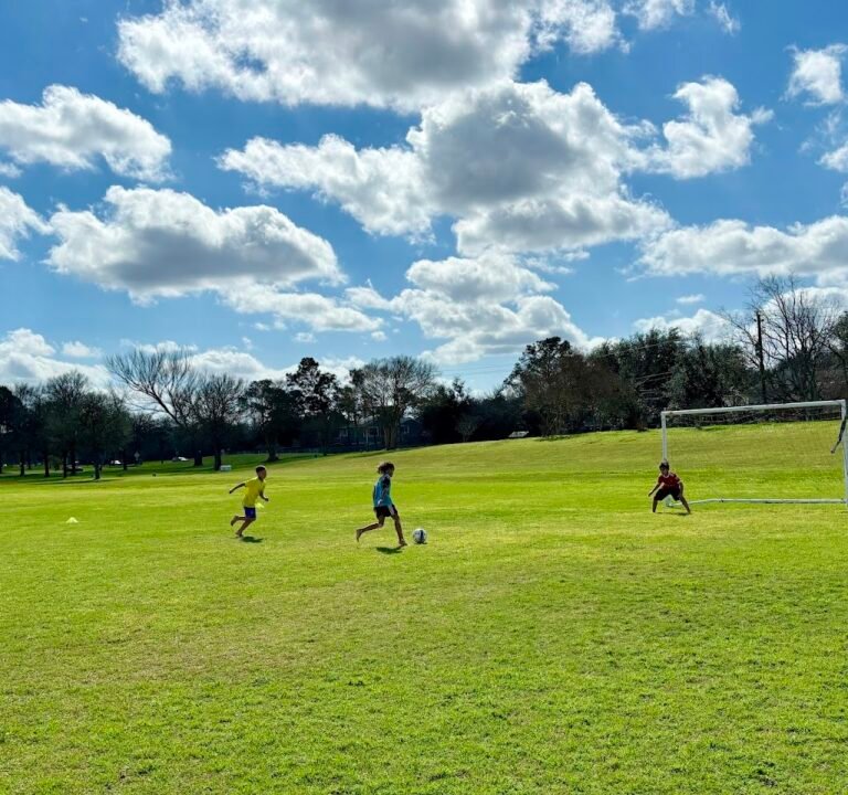 Soccer Field image 2