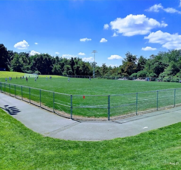 Soccer Field image 2