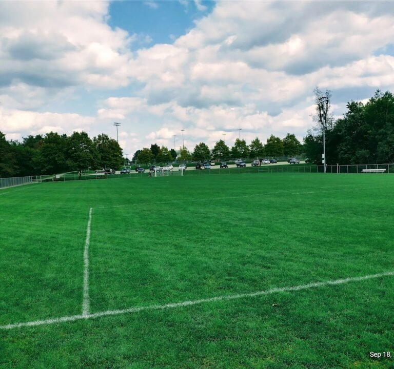 Soccer Field image 3