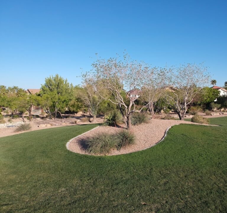 Soccer Field image 2