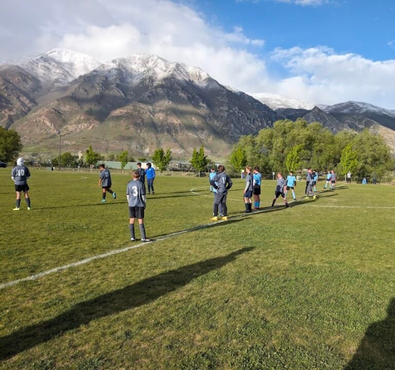 Soccer Field image 2