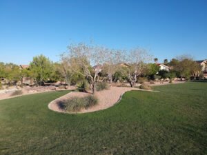 Soccer Field image 1