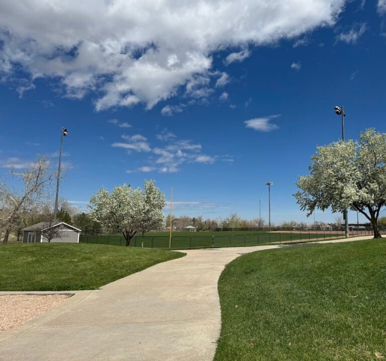 Soccer Field image 2